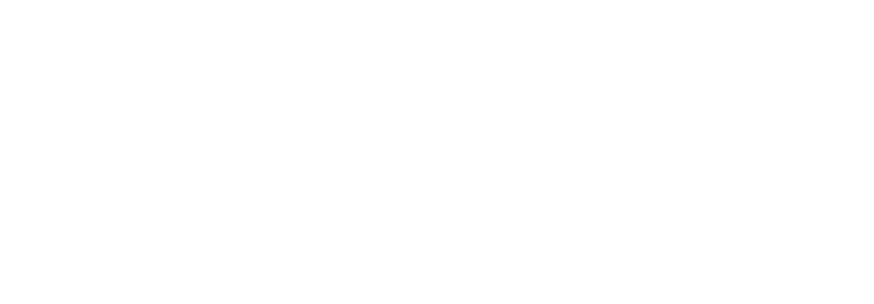 logo-elevarm