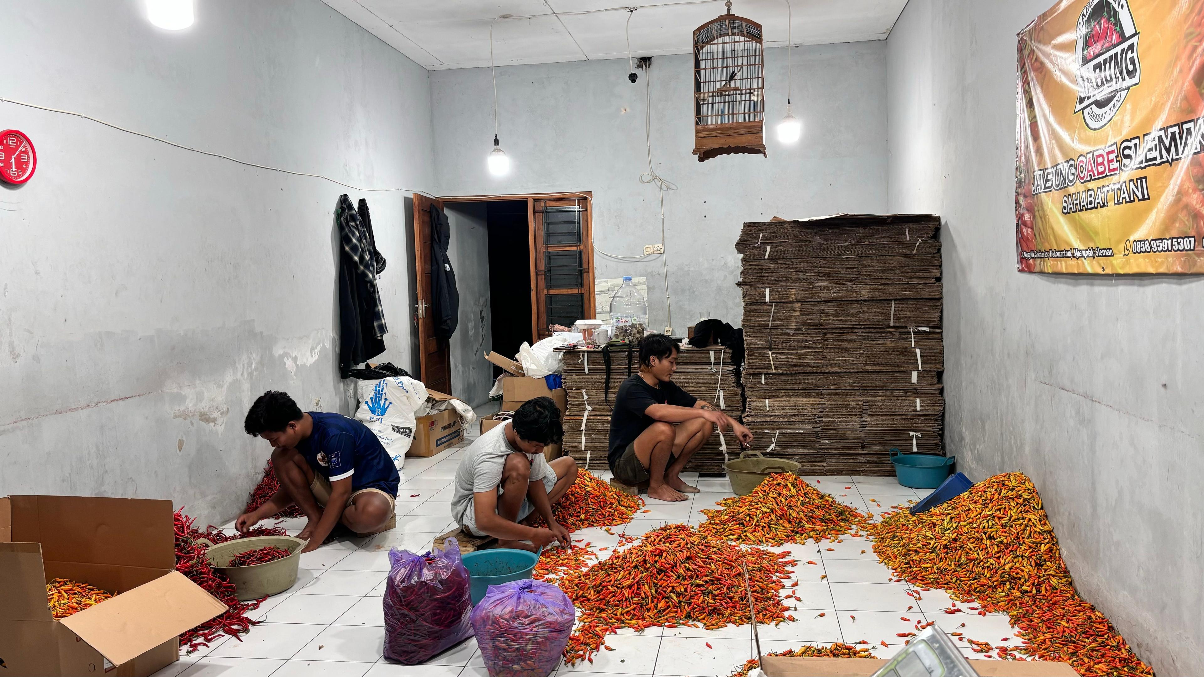 Aktivitas tim lelang di Tikum Jabung 3, Sleman, Yogyakarta