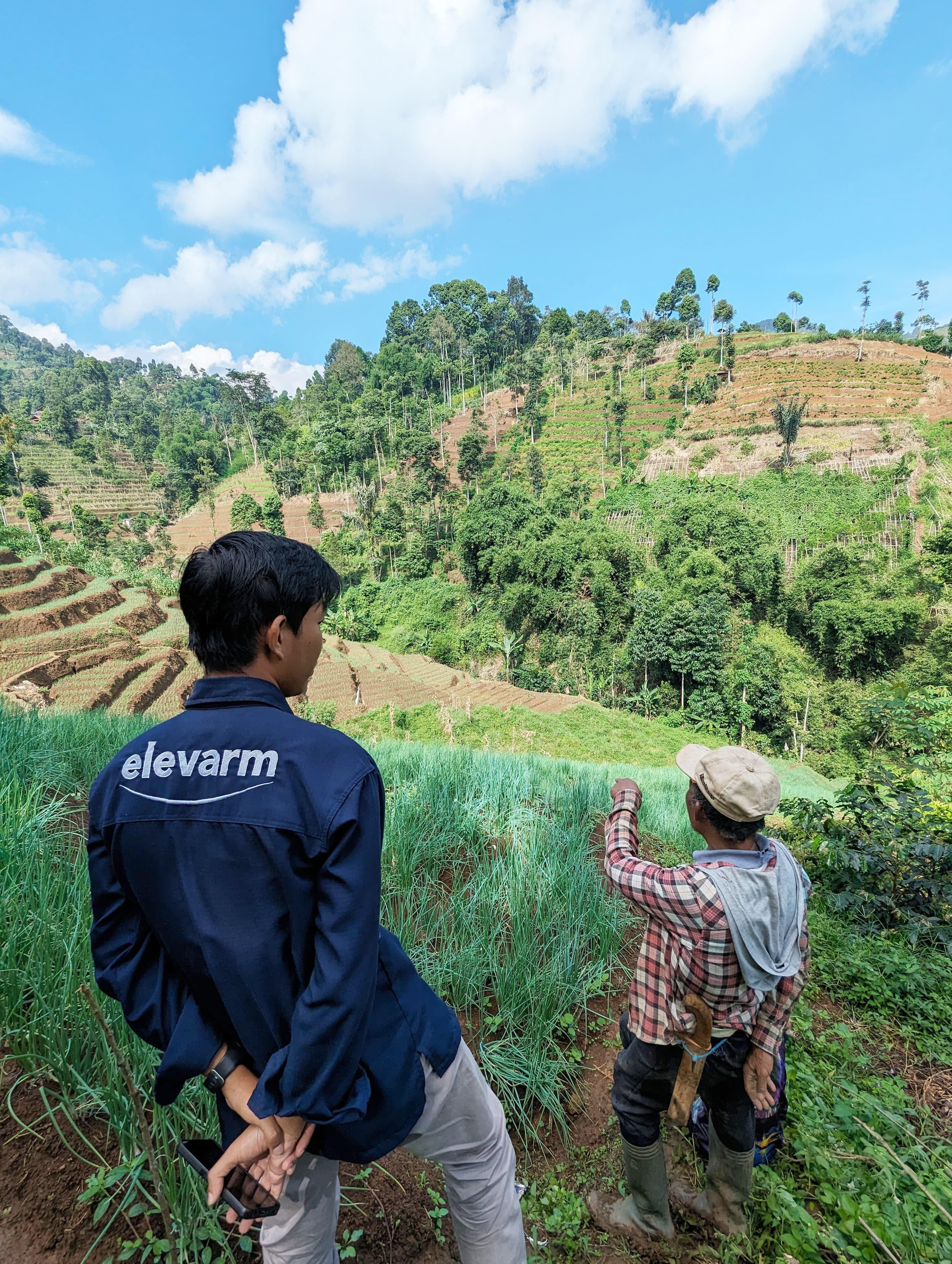 Amir saat memantau lahan pertanian